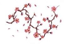Tattoo Kirschblüten: was bedeutet das?