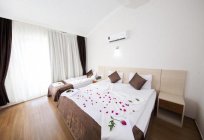 Kadriye hotel Sarp Hotel 3*, Turkey: overview, description and reviews