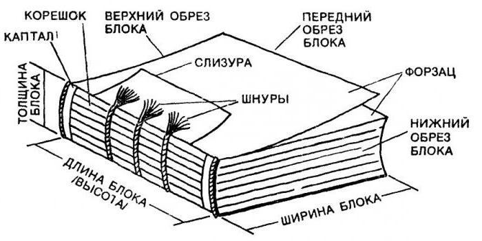 the design of the pages of a book