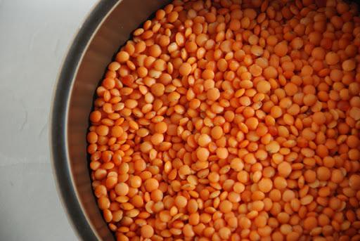 dishes of lentils for weight loss reviews