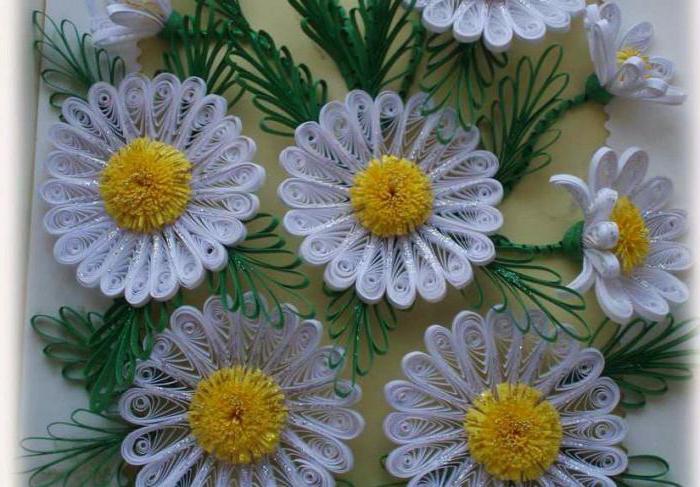 quilling daisies