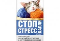 Medicamento para gatos 