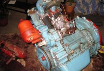 Motor D 21: yapısal özellikleri