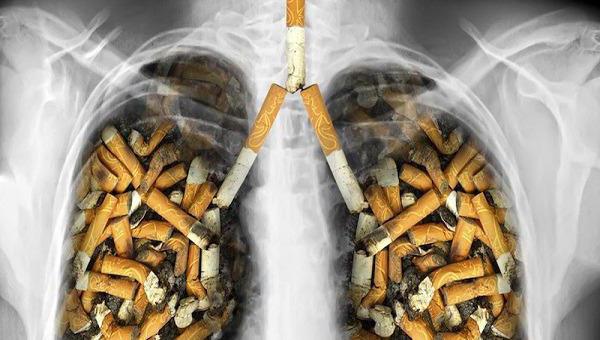 szkody palenia tytoniu na organizm człowieka