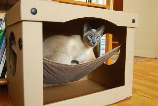 house for cats