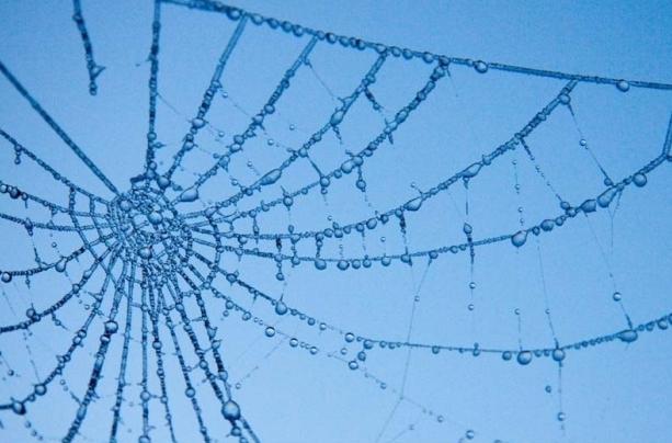 artificial tela de araña