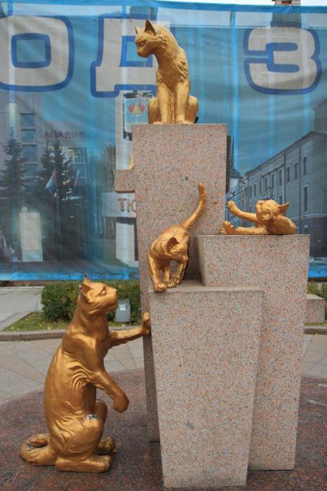 Pomniki koty