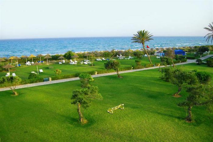 отель махдия тунис
