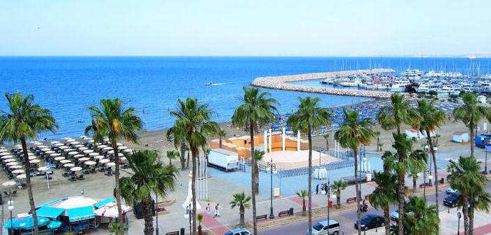 Larnaca salt lake