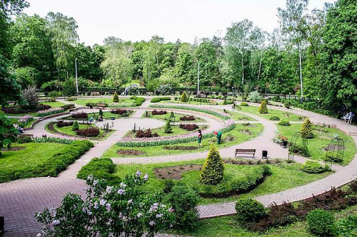 Sokolniki Park scheme the Park