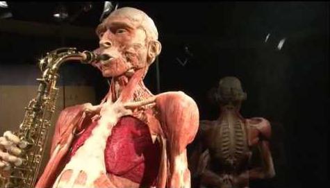 Таємниці людського тіла виставка мінськ