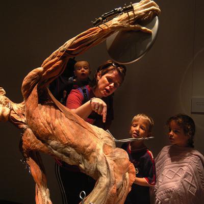 Виставка людських тіл у мінську фото