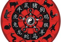 1997 - year of the what animal? Horoscope, characteristics, compatibility