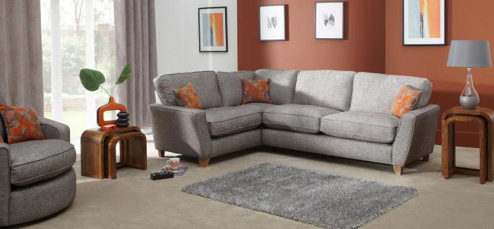 Home cleaning sofas