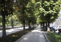 Popüler yerler Odessa: fotoğraf ve yorumlar yer