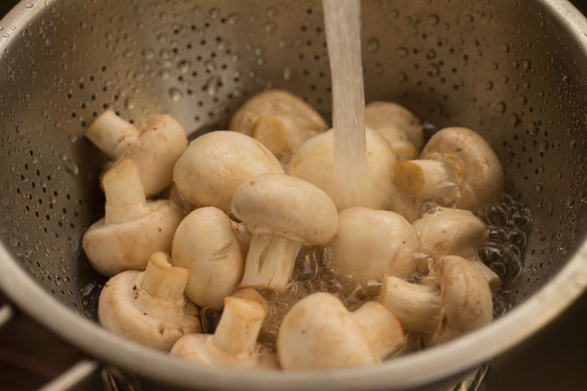 Pratos com cogumelos