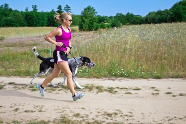 Physical activity to combat false pregnancy in dogs