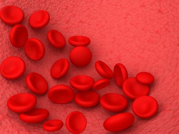 анизоцитоз de glóbulos vermelhos no sangue