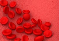 The anisocytosis of erythrocytes in the total blood test: performance