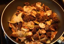 Mantar morchella: türlü ve yeme