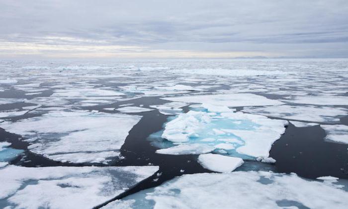 mittlere Tiefe des arktischen Ozeans