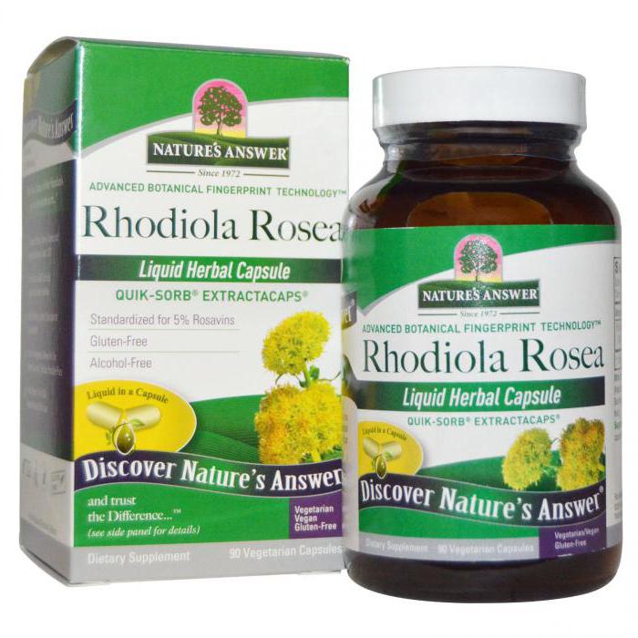 Rhodiola rosea medizinische Eigenschaften und Kontraindikationen