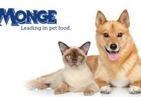 Cat food Monge: the pros and cons, reviews