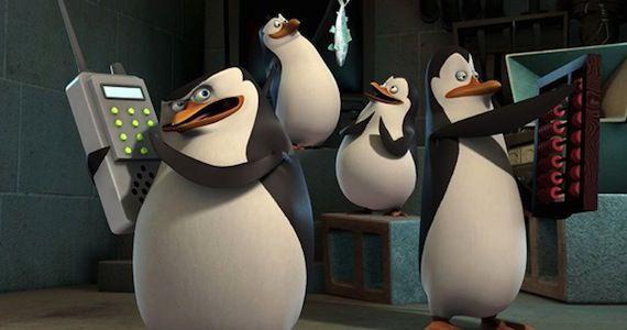 adım penguen 'Madagaskar'