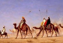 El califato - ¿qué es? El Califato árabe, su aparición y la desintegración. La Historia Del Califato