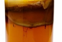Kombucha: the benefits and harms, contraindications and application features