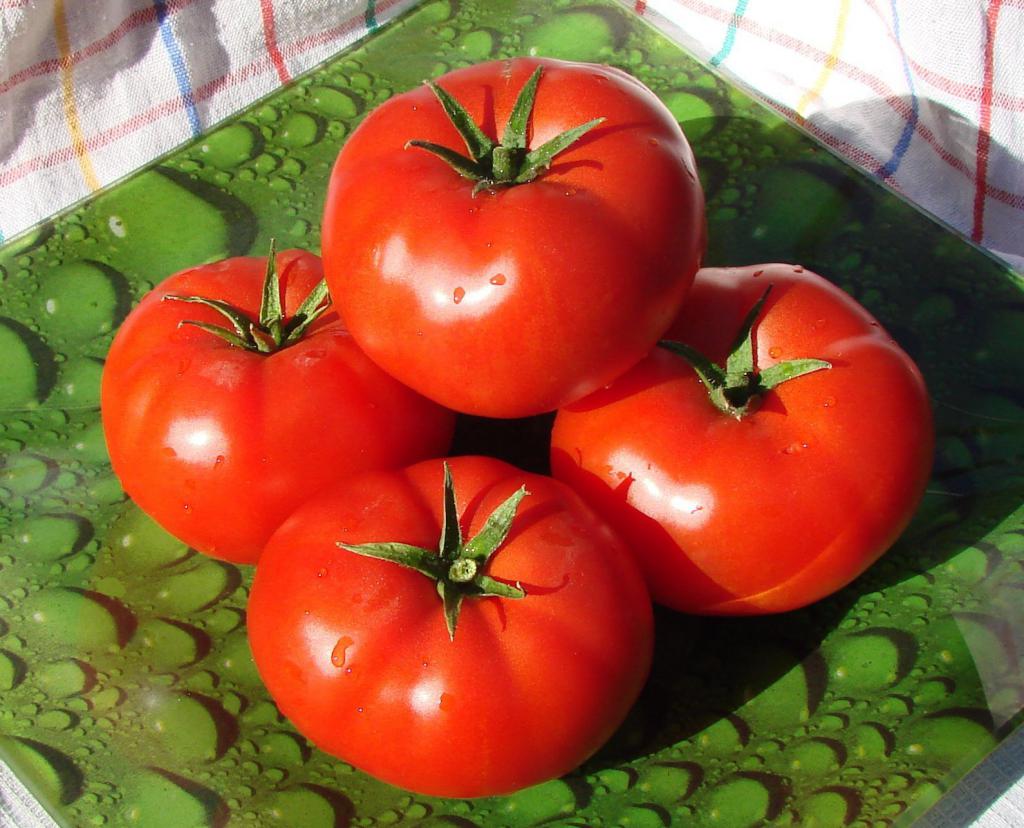 Tomatoes for Siberia "Alaska"
