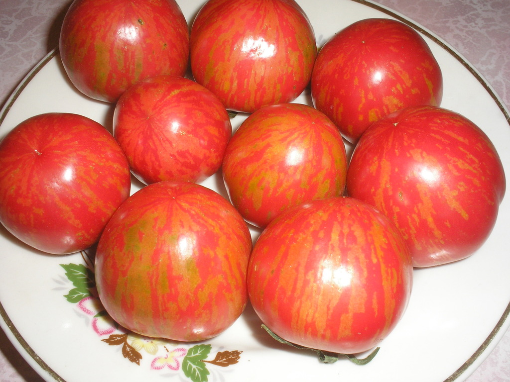 Variety of tomatoes. "Grouse"