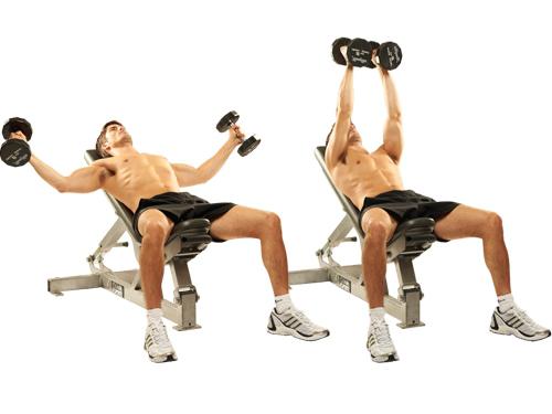 la manera de fortalecer los músculos de la espalda