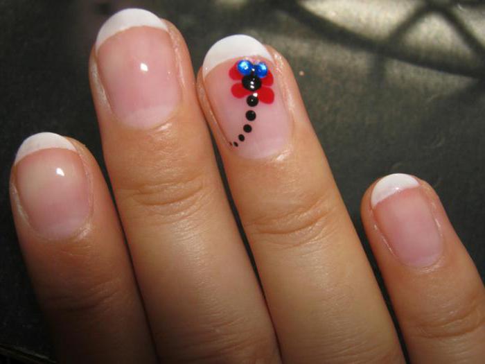 Draw a dragonfly on the nail
