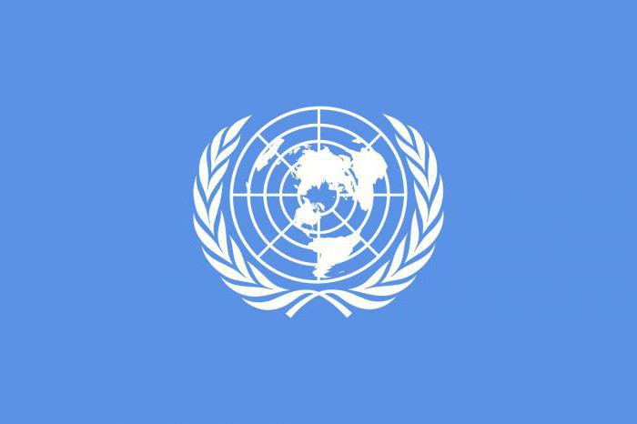 BM bayrağı