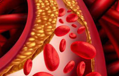 anticoagulativeシステムの血液生理学