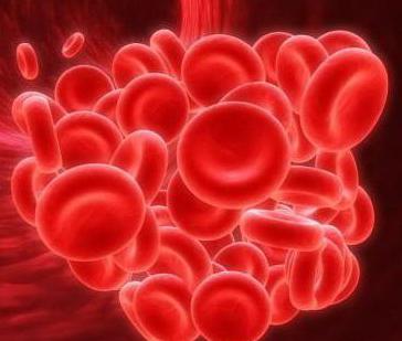 血栓溶解、anticoagulativeシステムの血