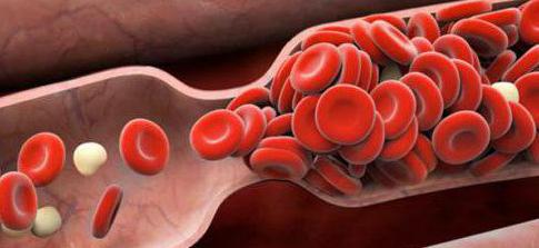 свертывающая противосвертывающая y фибринолитическая el sistema de la sangre