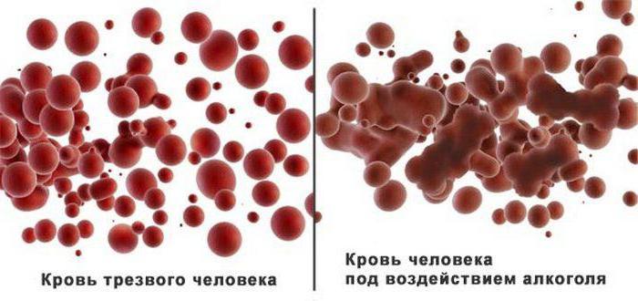 la preparación para la donación de sangre