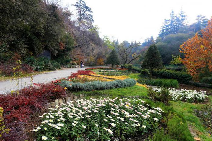Botanischer Garten von Tiflis Foto
