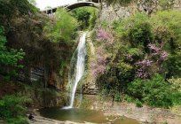 O jardim botânico, em Tbilisi: foto, endereço, modo de funcionamento, como chegar