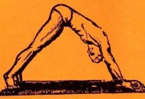 «Вока адраджэння» - унікальная гімнастыка тыбецкіх манахаў