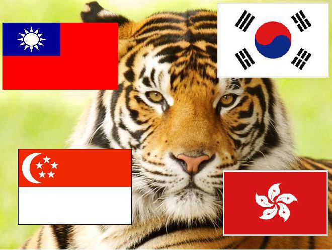  die asiatischen Tiger-Länder