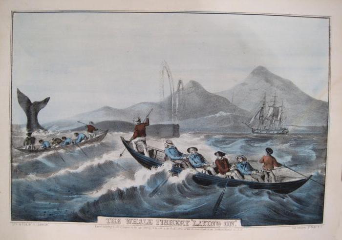 історія китобійного промислу