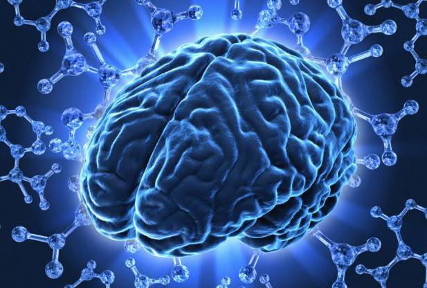 fokale Veränderungen der Substanz des Gehirns дисциркуляторного Charakter