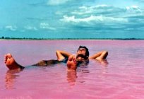 Niesamowite Australia: Hiller - różowe jezioro z kąpielami brzegami