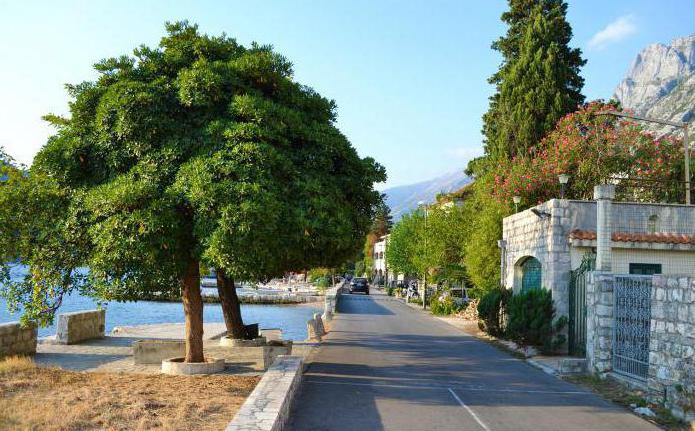 Bondade Montenegro