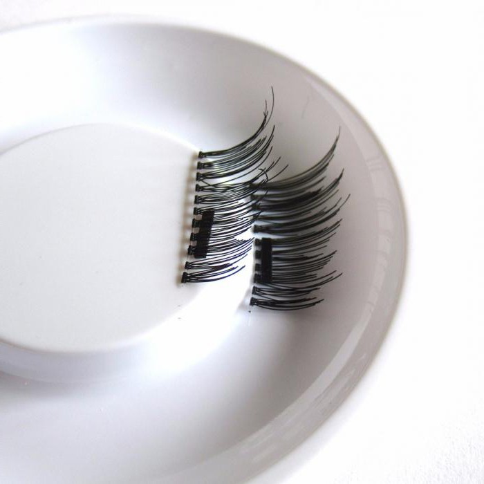magnetic magnet eyelashes lashes where to buy