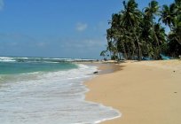Entuzjastyczne opinie turystów: Sri Lanka