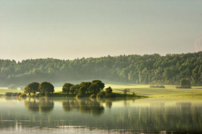 Dubrovsky reservoir